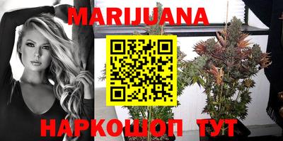 стаф Пушкино